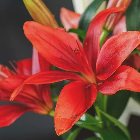 P&o Serviced Fabryczna Warszawa