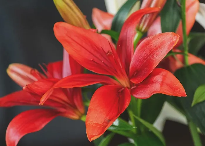 P&o Serviced Fabryczna Βαρσοβία